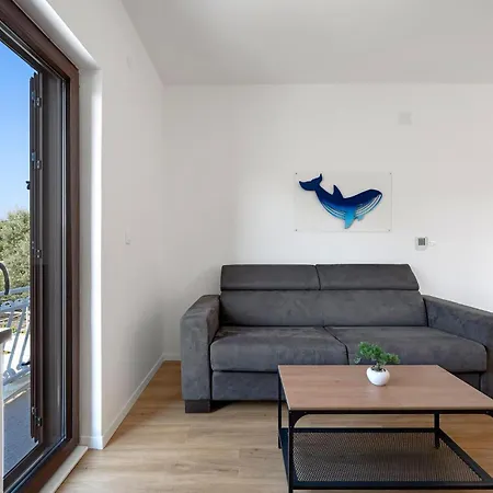 Lovely In With Wifi Apartment Brodarica (Sibenik-Knin)