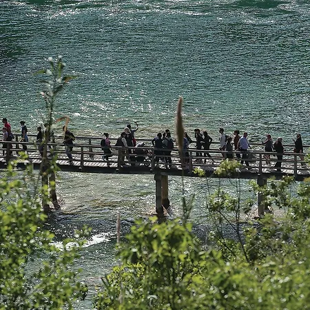 Apartment Lovely In With Wifi