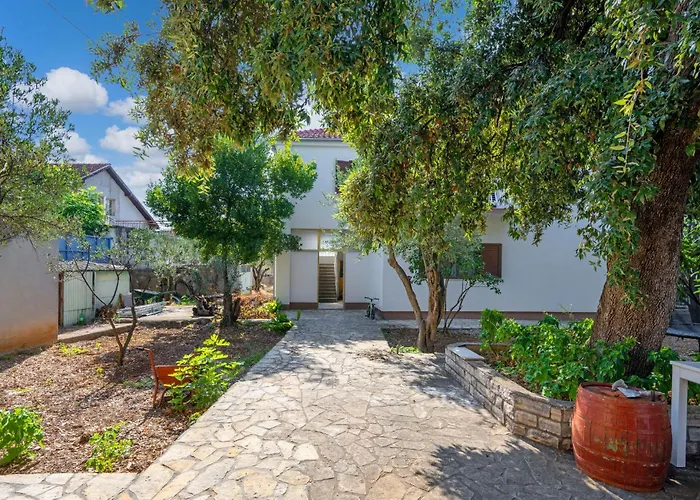 Apartment Lovely In With Wifi