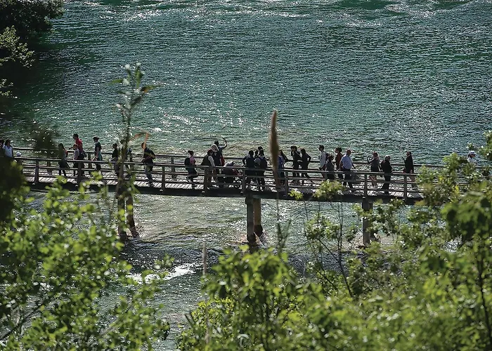 Apartment Lovely In With Wifi